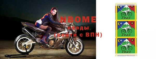 хмурый Алексин