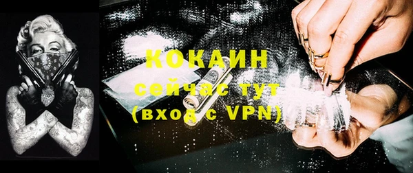 соль ск Алексеевка