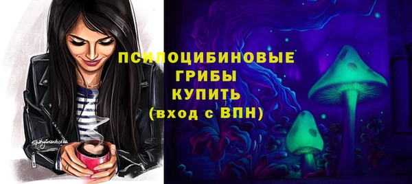 соль ск Алексеевка