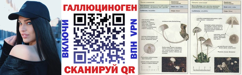 мега зеркало  Протвино  Псилоцибиновые грибы Psilocybe 